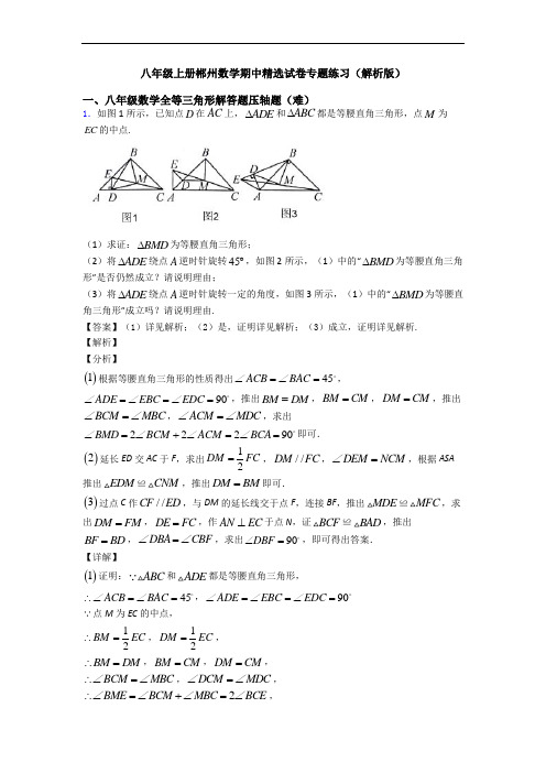 八年级上册郴州数学期中精选试卷专题练习(解析版)