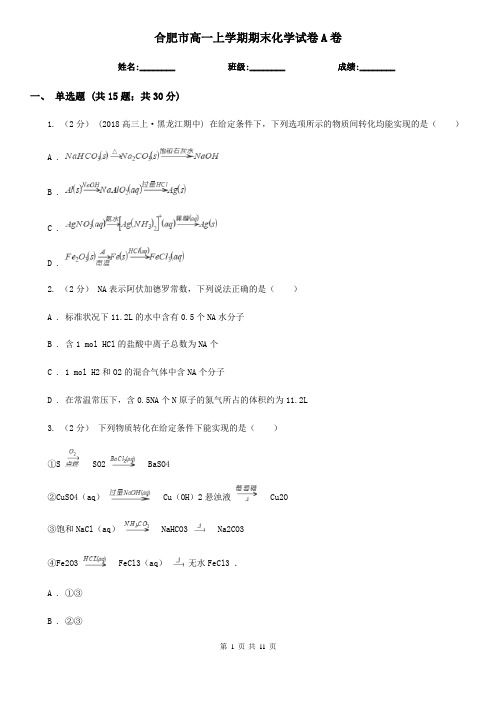 合肥市高一上学期期末化学试卷A卷