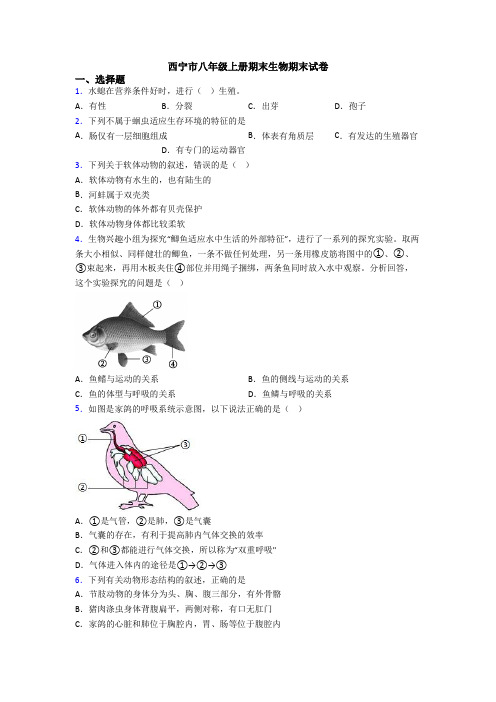 西宁市八年级上册期末生物期末试卷