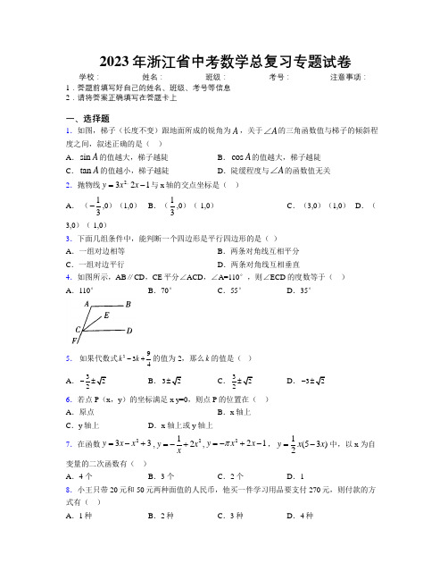 2023年浙江省中考数学总复习专题试卷附解析