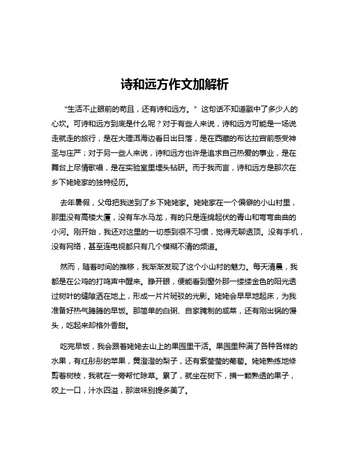 诗和远方作文加解析