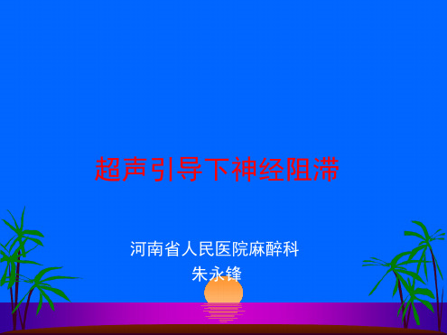 超声引导下神经阻滞