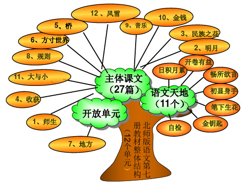 四上知识树