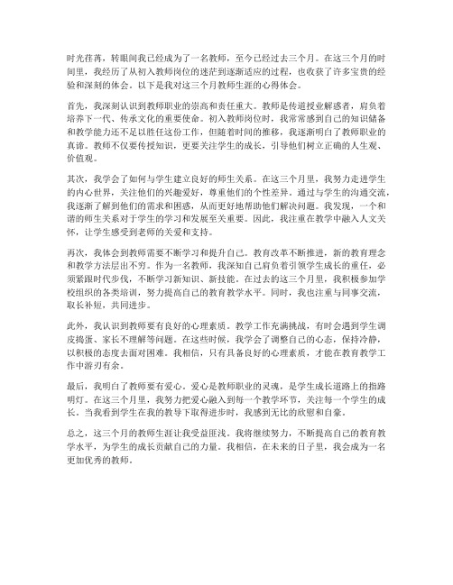 教师三个月心得体会