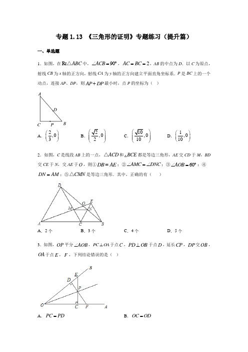 北师大版八年级数学下册《三角形的证明》专题练习(提升篇)八年级数学下册基础知识专项讲练(北师大版)