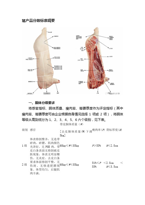 猪产品分级标准精要