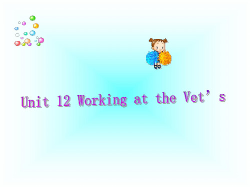 英语:Unit-12-《Working-at-the-Vet’s》复习课件(1)(北京课改版八年级下)