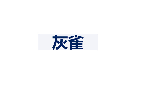 三年级上册语文课件灰雀部编版