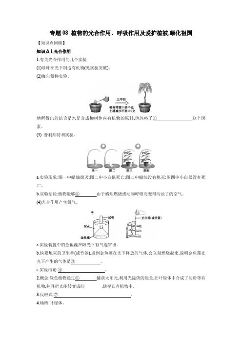 2021年中考生物复习微专题-讲次08 植物的光合作用、呼吸作用及爱护植被,绿化祖国(学生版)