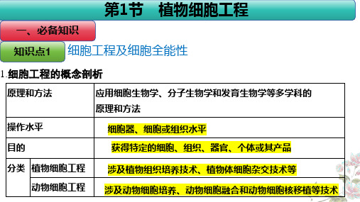 2.1 植物细胞工程复习课件-高二下学期生物人教版选择性必修3