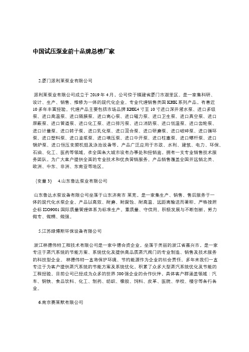 中国试压泵业前十品牌总榜厂家