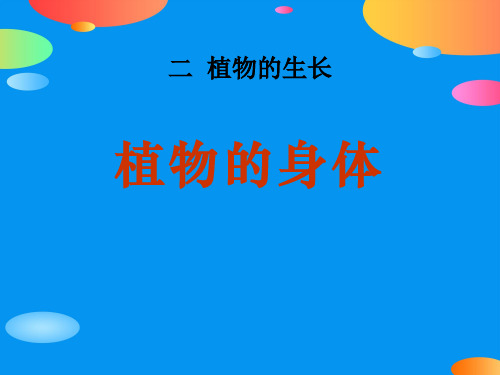 《植物的身体》植物的生长PPT课件【精品推荐课件】