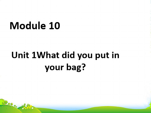 外研版五年级英语下册Module10unit1whatdidyouputinyourbag课件4