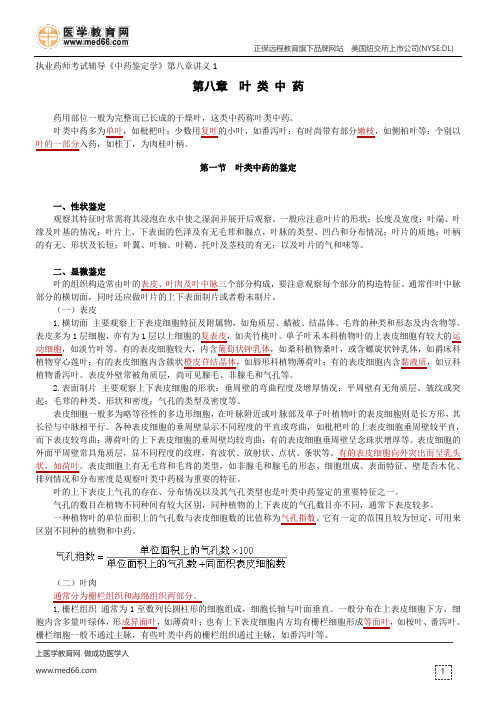 叶类中药-执业药师考试辅导《中药鉴定学》第八章讲义1