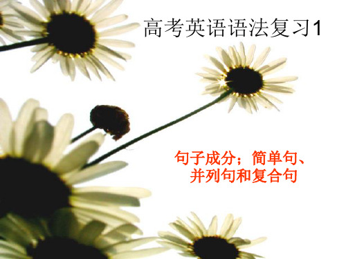 高考英语语法复习.ppt