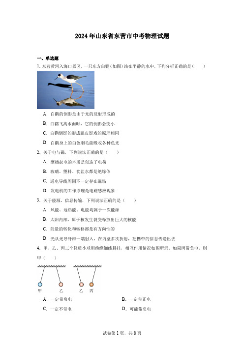 2024年山东省东营市中考物理试题