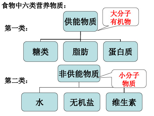 人教版七年级下册4.2第二节： 消化与吸收课件(共44张PPT)