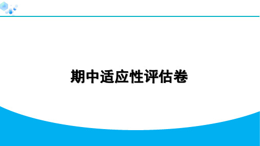 5. 期中适应性评估卷【试卷】九年级上册化学