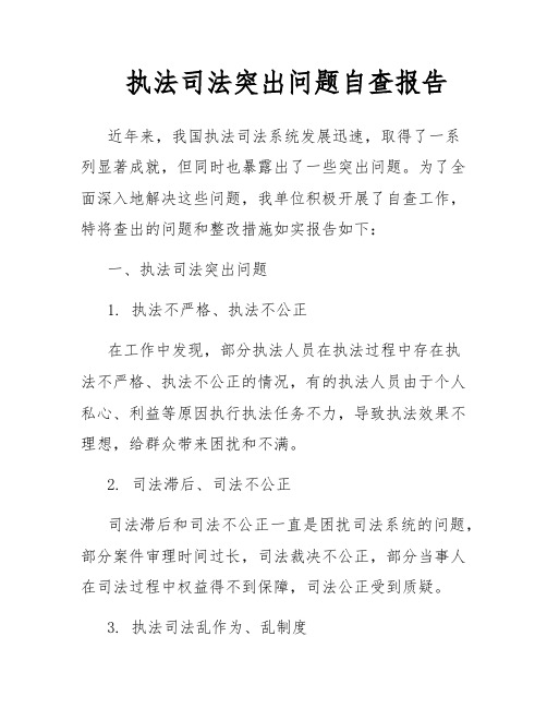 执法司法突出问题自查报告