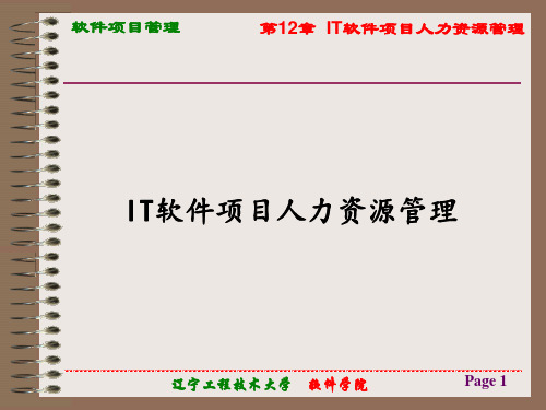 IT软件开发项目人力资源管理解读