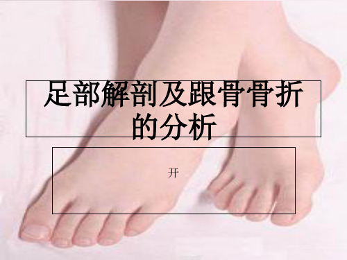 足部折的治疗课件