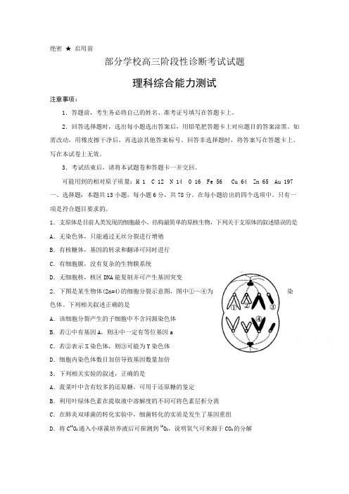 山东省淄博市部分学校2018届高三第二次模拟考试理科综合试题含答案