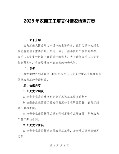 2023年农民工工资支付情况检查方案