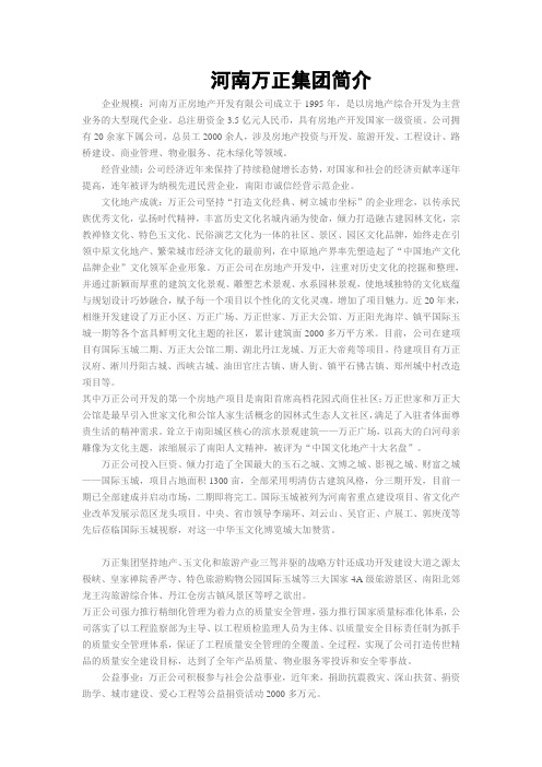 河南万正集团公司简介