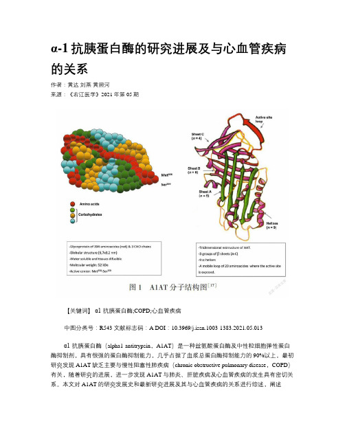 α-1抗胰蛋白酶的研究进展及与心血管疾病的关系