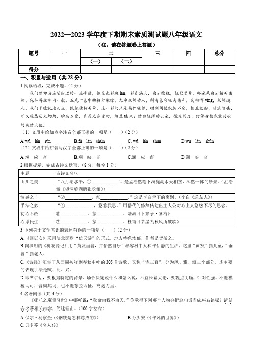 河南省驻马店市确山县2022-2023学年八年级下学期期末语文试题(含答案)