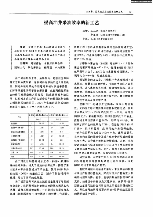 提高油井采油效率的新工艺