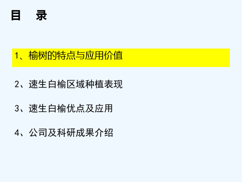 速生白榆的大田表现及应用前景