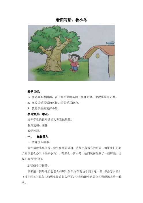 !二年级看图写话：《救小鸟》教学设计