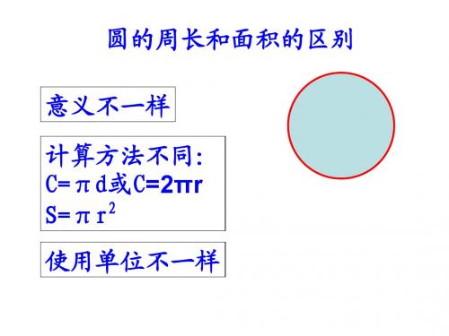 面积与周长的对比  小向