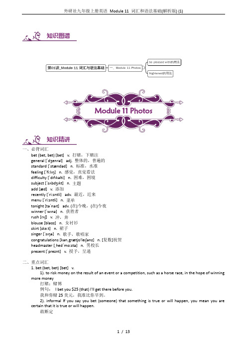 外研社九年级上册英语 Module 11 词汇和语法基础(解析版) (1)