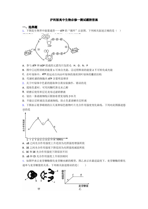 沪科版高中生物必修一测试题附答案