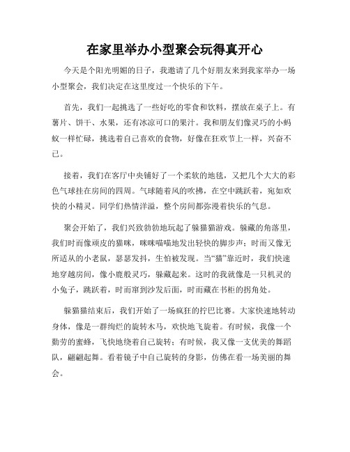 三年级作文那次玩得真高兴之在家里举办小型聚会玩得真开心