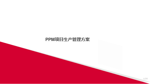 SAP_PPM项目生产管理方案