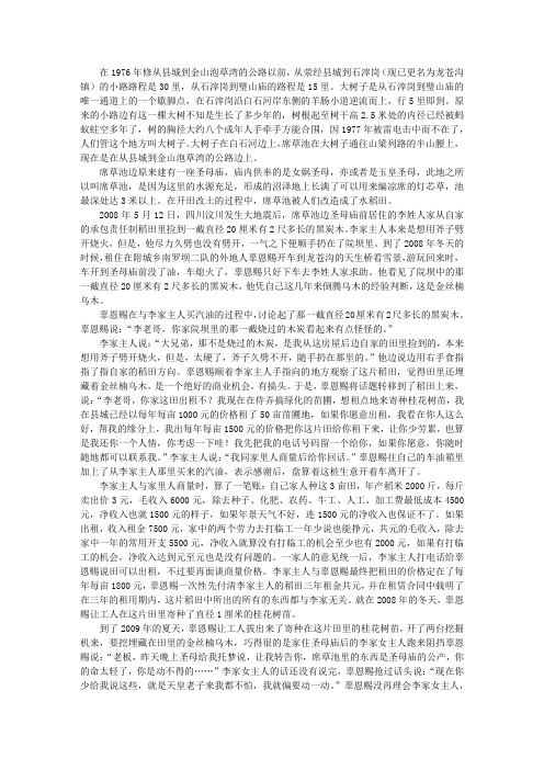 挖圣母庙乌木丢性命