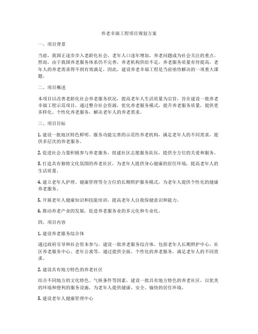 养老幸福工程项目规划方案