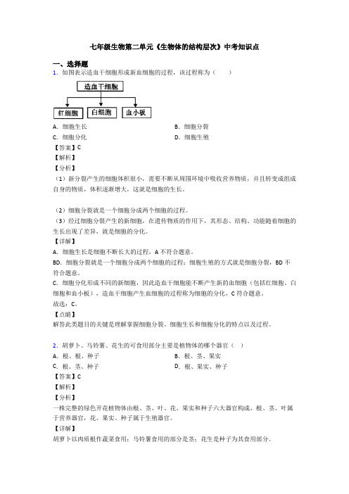 七年级生物第二单元《生物体的结构层次》中考知识点