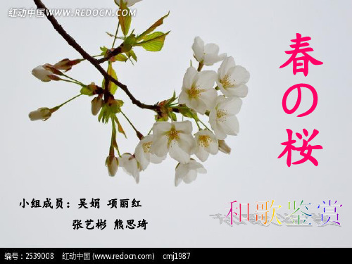 鉴赏和歌