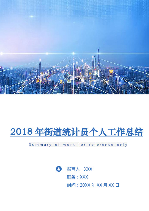 2018年街道统计员个人工作总结