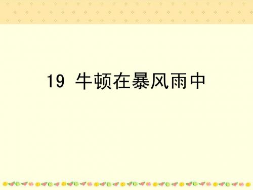 19牛顿在暴风雨中1