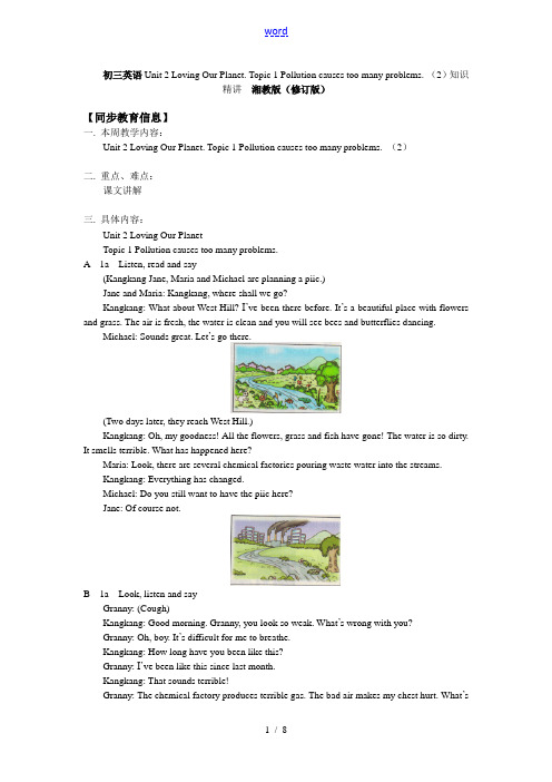 初三英语Unit2 Loving Our Planet. Topic 1 Pollution cau