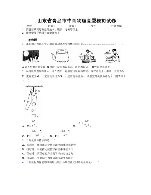 最新山东省青岛市中考物理真题模拟试卷及解析