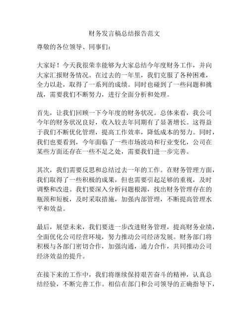 财务发言稿总结报告范文