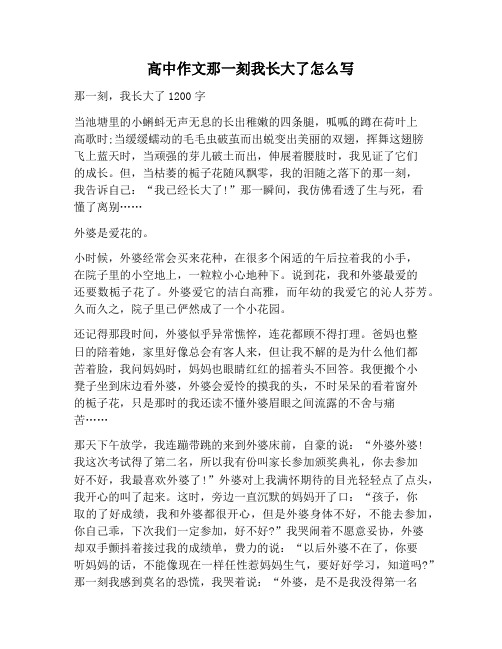 【作文范文】高中作文那一刻我长大了怎么写