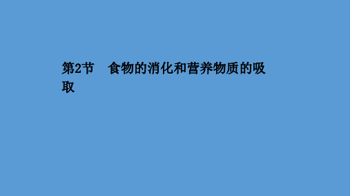 北师大版七年级生物下册教学课件.2食物的消化和营养物质的吸收课件