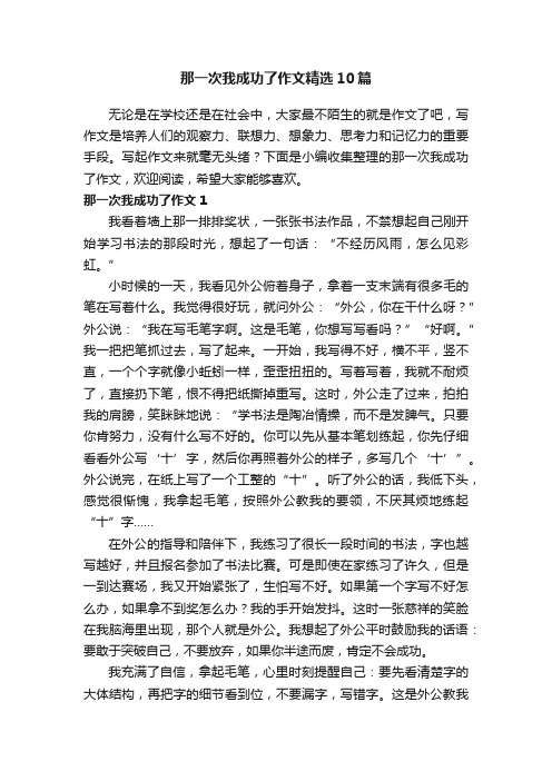 那一次我成功了作文精选10篇